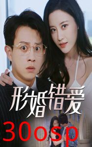 形婚错爱