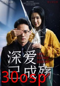 深爱已成殇