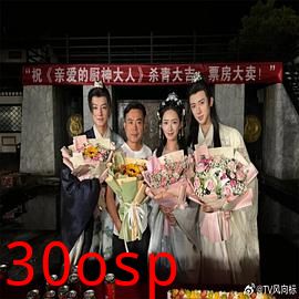 亲爱的厨神大人