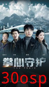 拳心守护
