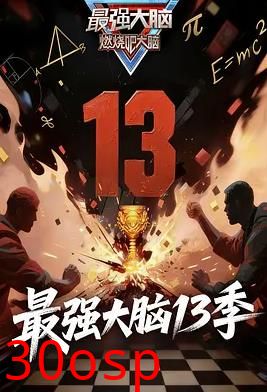最强大脑第十三季