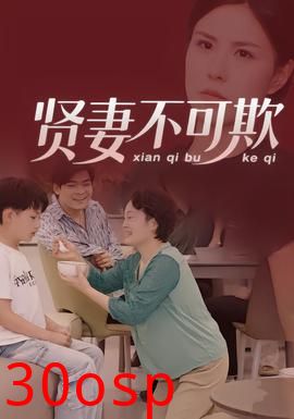 贤妻不可欺