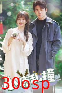 小鹿乱撞
