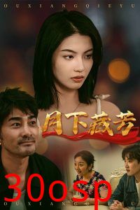 月下藏芳