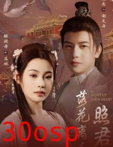 落花离人照君心