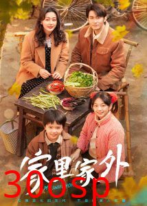 家里家外