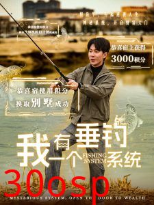 我有一个垂钓系统