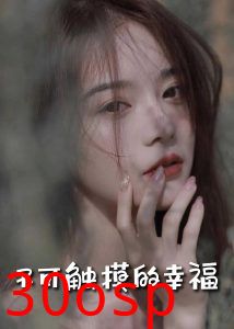 不可触摸的幸福66集