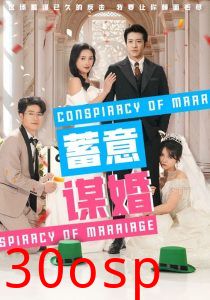 蓄意谋婚