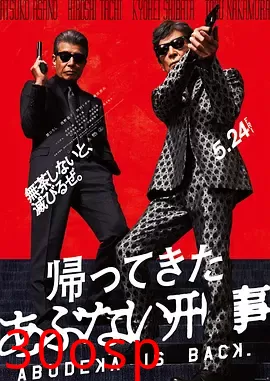 归来的玩命警探