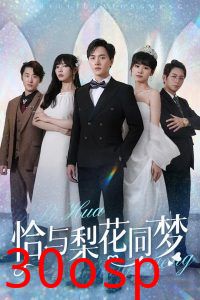 恰与梨花同梦