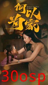 何以为家36集