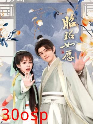 昭昭如愿