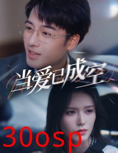 当爱已成空30集