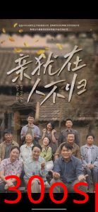 亲犹在人不归