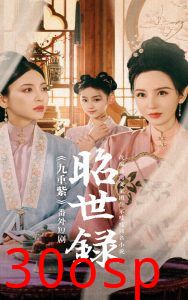 昭世录