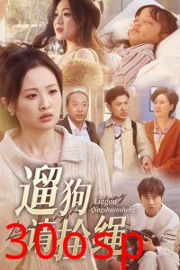 遛狗请拴绳