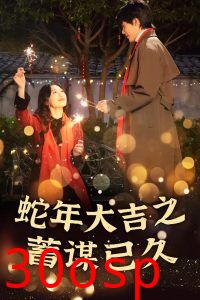 新年之假戏真做