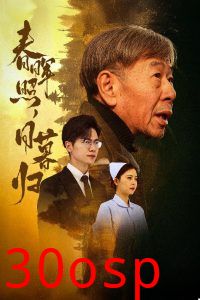 春晖照日暮归