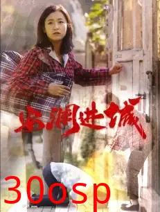 安澜进城