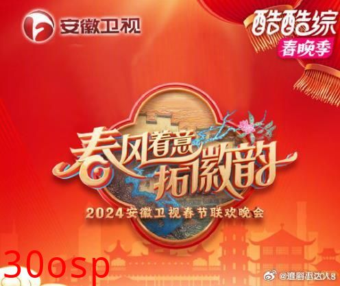 2025安徽卫视春晚
