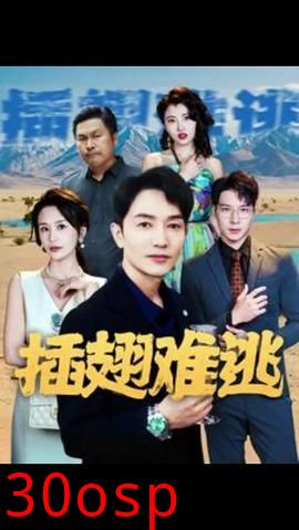 插翅难飞短剧