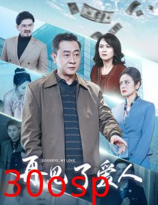 再见了爱人