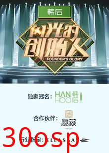 闪光的创始人 第二季