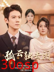 孤云独去闲