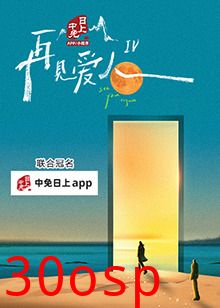 再见爱人第四季