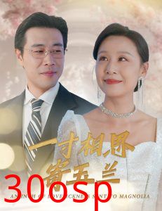 一寸相思寄玉兰