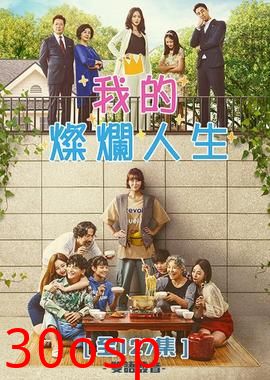 我的璀璨人生