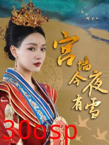 宫墙今夜有雪