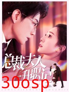 总裁夫人升职记