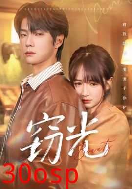 窃光短剧版