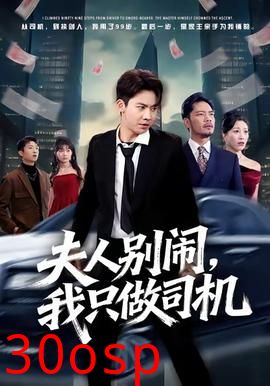 夫人别闹我只做司机