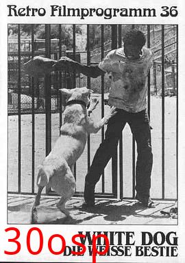 白狗【影视解说】