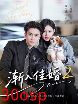 渐入佳婚2