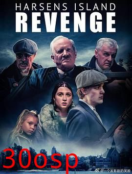哈森斯岛复仇