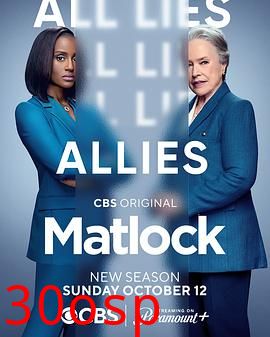 老练律师第二季