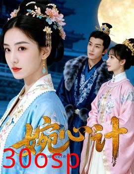 婉心计
