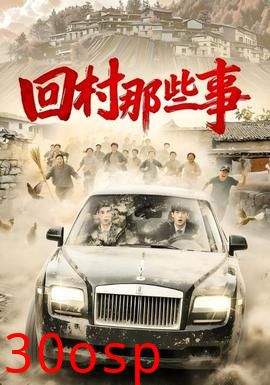 回村那些事