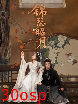 锦瑟昭月