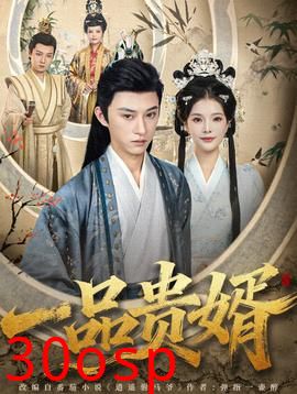 一品贵婿