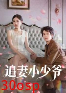 追妻小少爷
