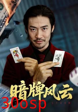 暗牌风云