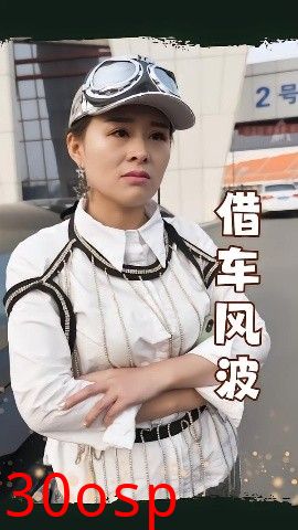 借车风波