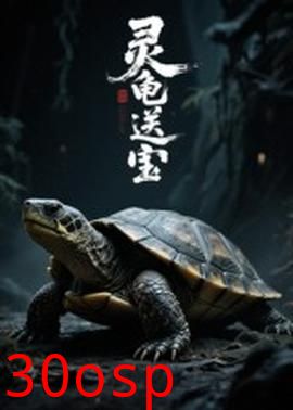 灵龟送宝