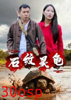 石纹灵龟