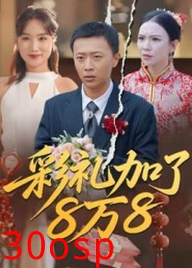 彩礼加了8万8